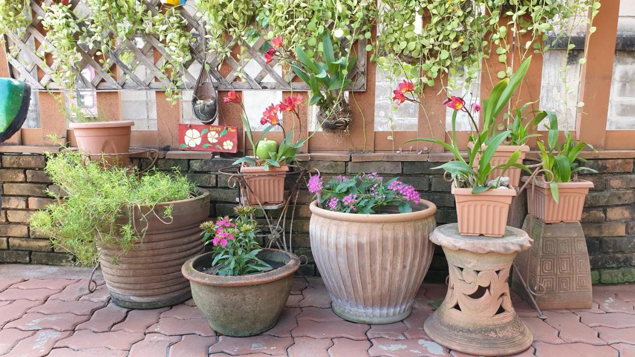 Little Guest House Hotel Chiang Mai Dış mekan fotoğraf